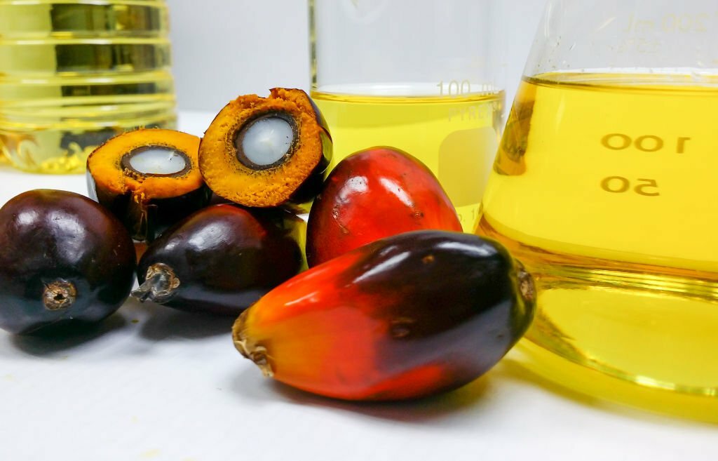 Join us on the Journey to Wellness